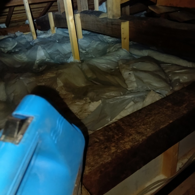 噴霧器で薬剤を散布