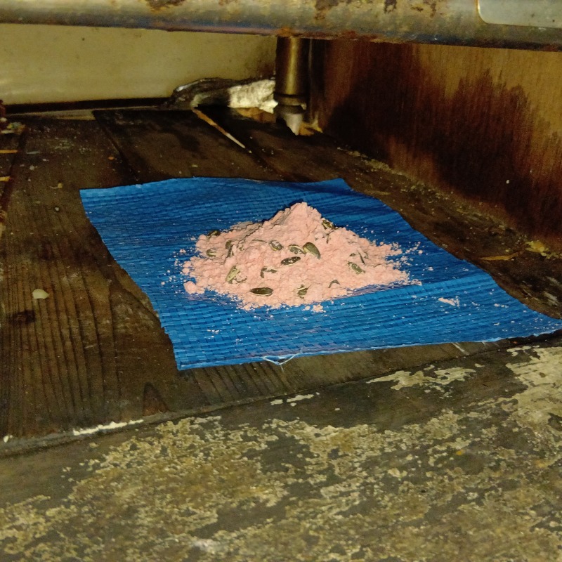 殺鼠剤を設置した様子