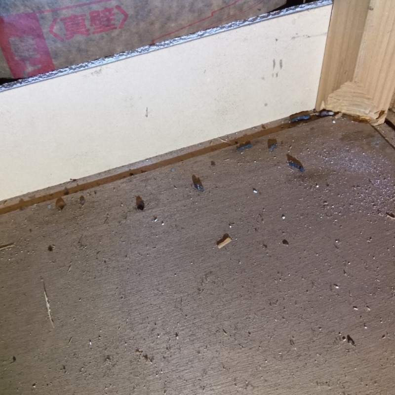 ネズミ駆除の施工事例（新潟県長岡市神谷）