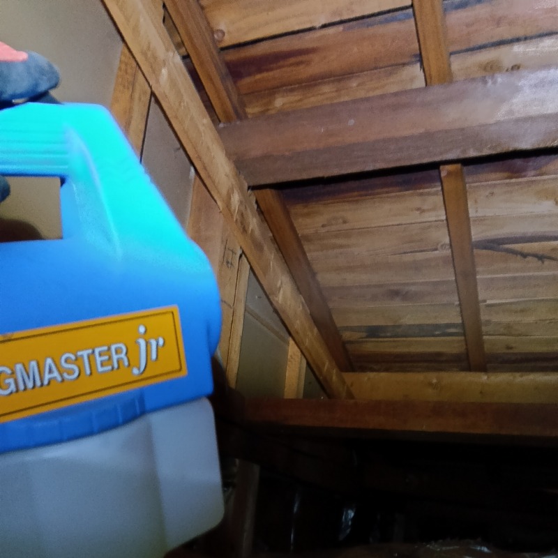 噴霧器で薬剤を散布