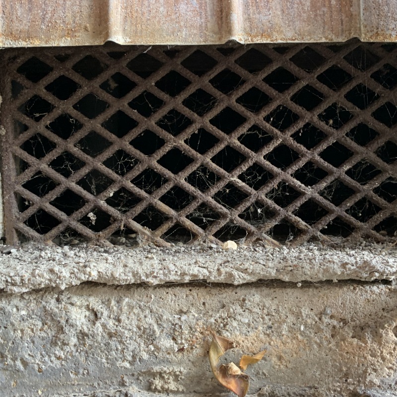 ネズミ駆除の施工事例（愛知県名古屋市瑞穂区井戸田町）