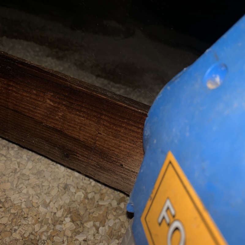 噴霧器で薬剤を散布