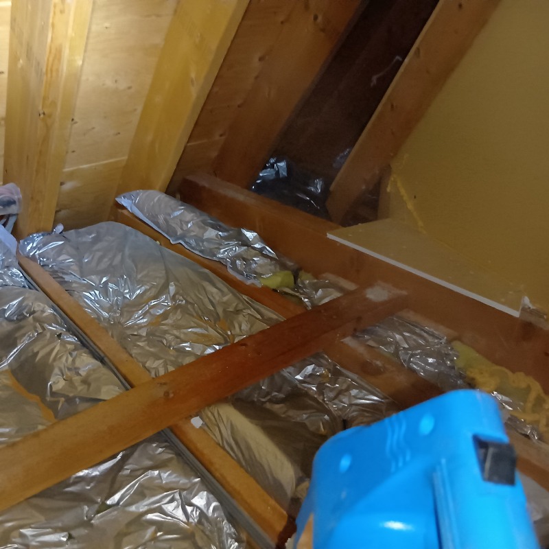 噴霧器で薬剤を散布