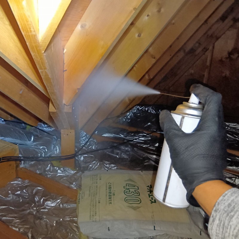 殺虫スプレーを散布