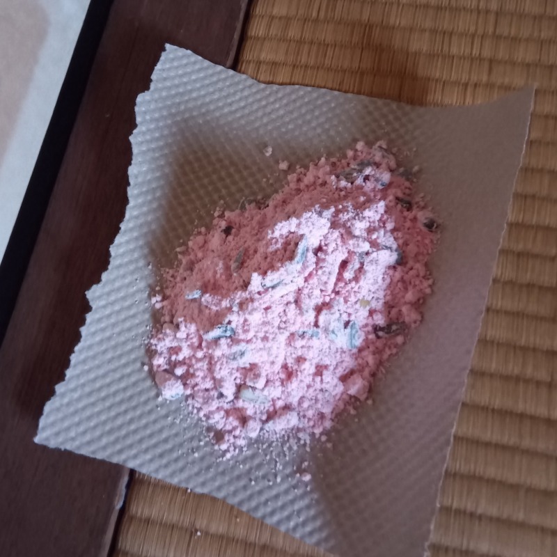 殺鼠剤を設置した様子