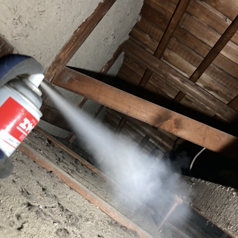 殺虫スプレーを散布