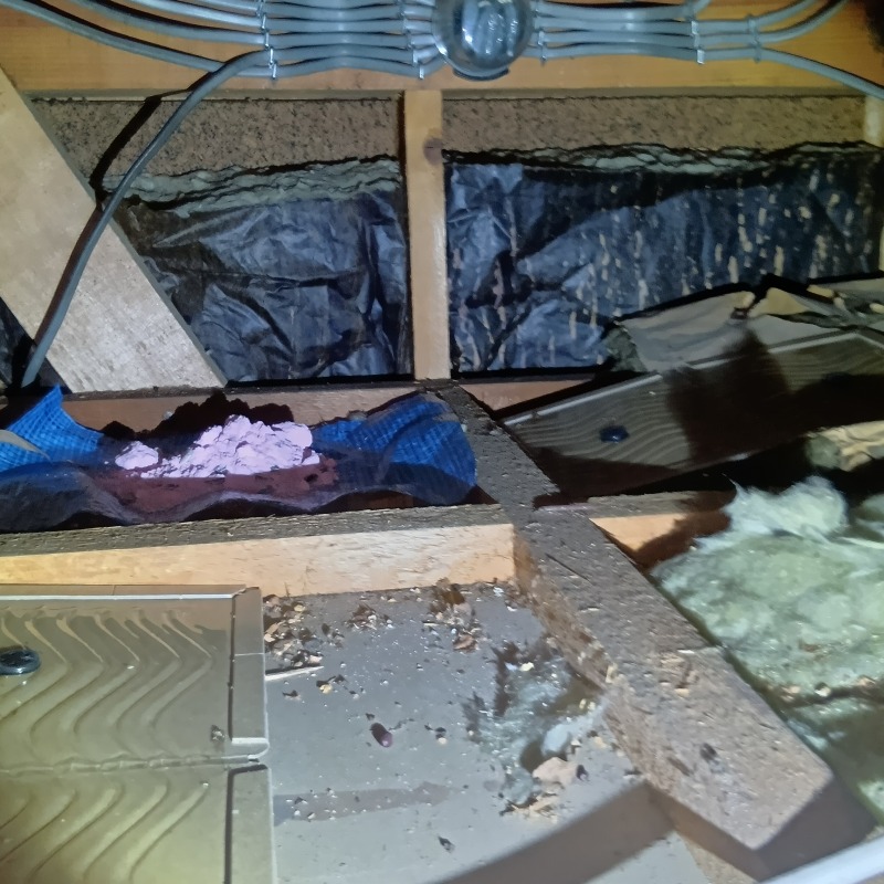 ネズミ駆除の施工事例（山形県長井市十日町）