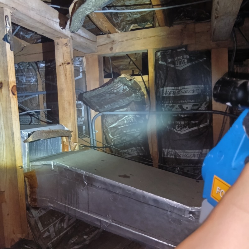 噴霧器で薬剤を散布