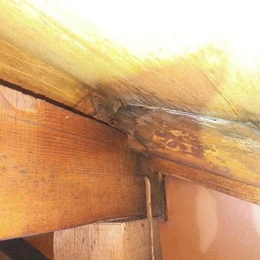 コウモリの尿によりシミができた箇所