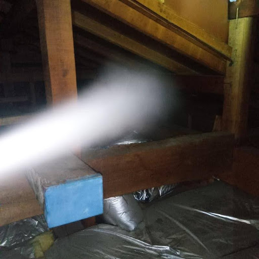 殺虫処理の様子