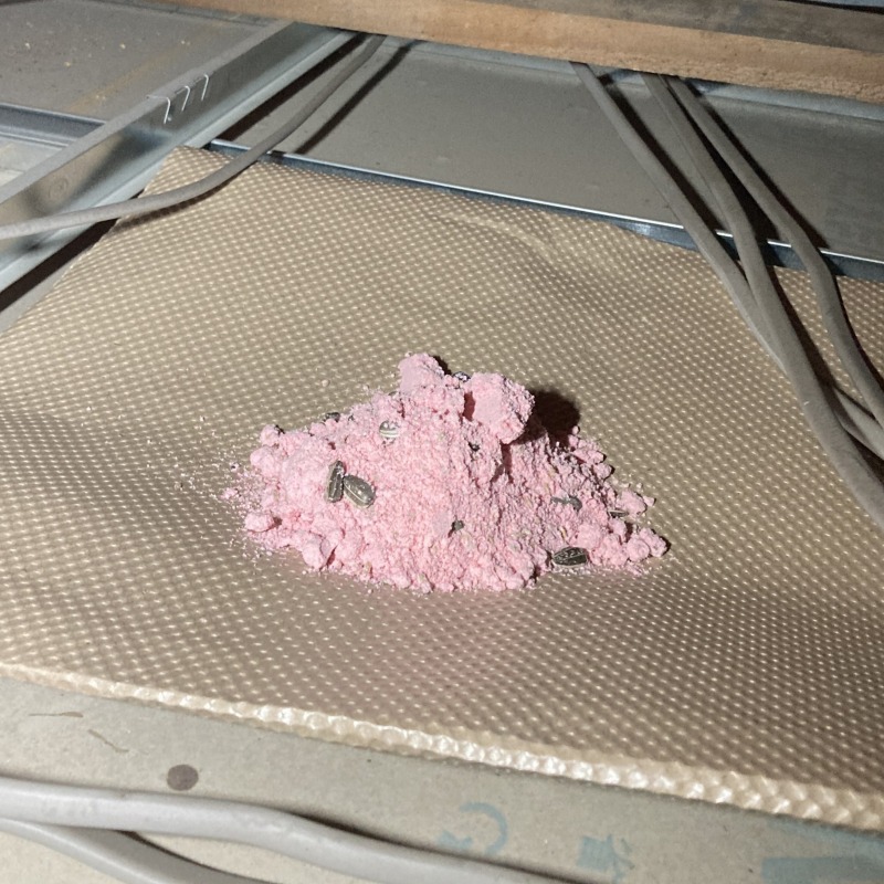 殺鼠剤を設置した様子