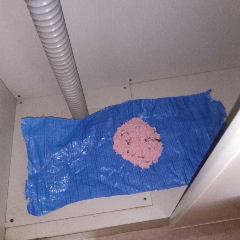 殺鼠剤を設置した様子