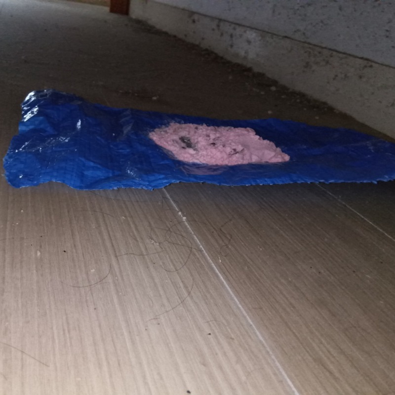 殺鼠剤を設置した様子