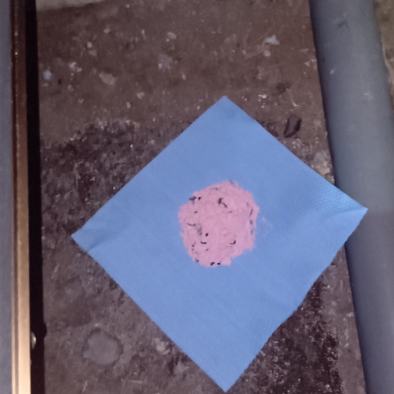 殺鼠剤を設置した様子