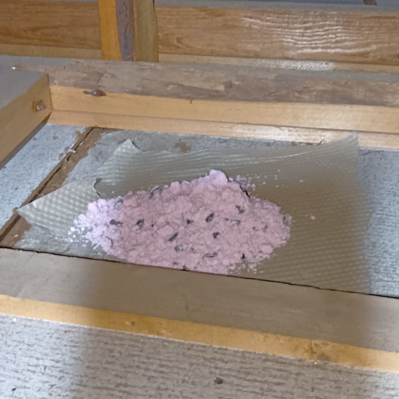 殺鼠剤を設置した様子