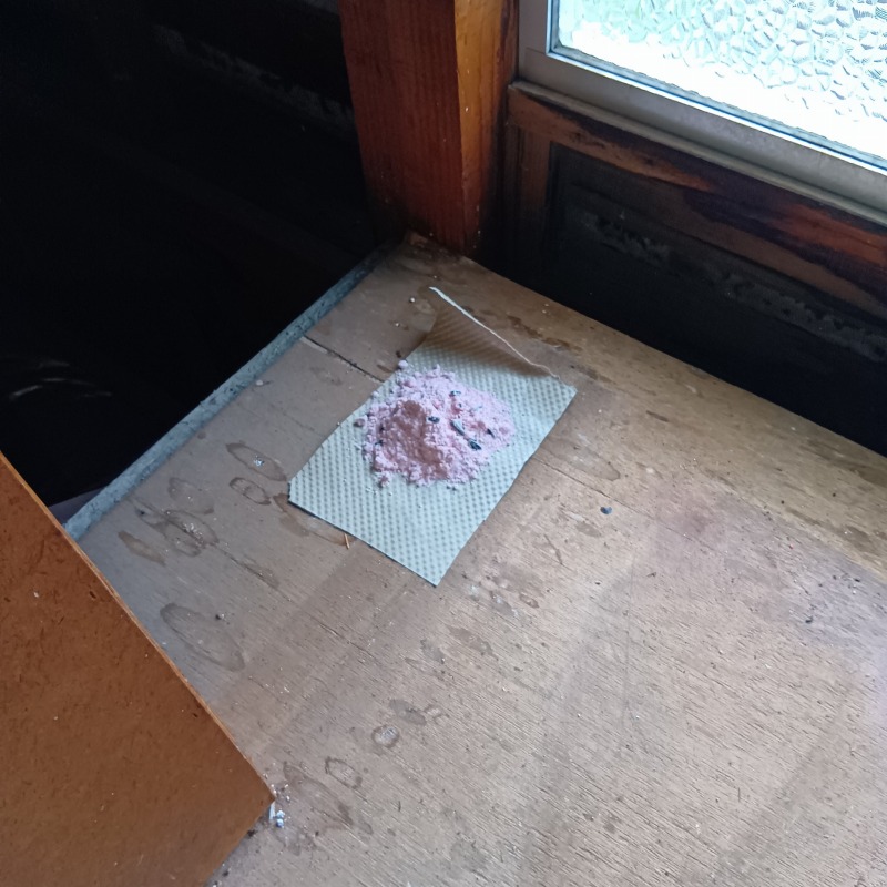 殺鼠剤を設置した様子