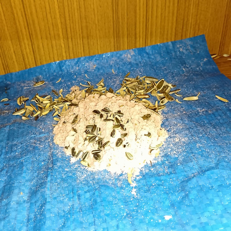 殺鼠剤を設置した様子