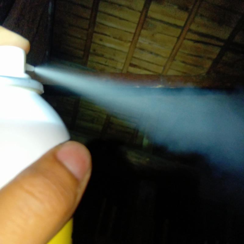 屋根裏に忌避スプレーを散布