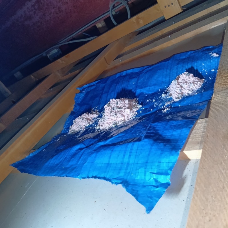 殺鼠剤を設置した様子