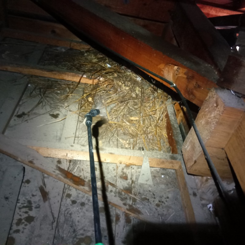 ネズミ駆除の施工事例（山梨県南巨摩郡富士川町小林）