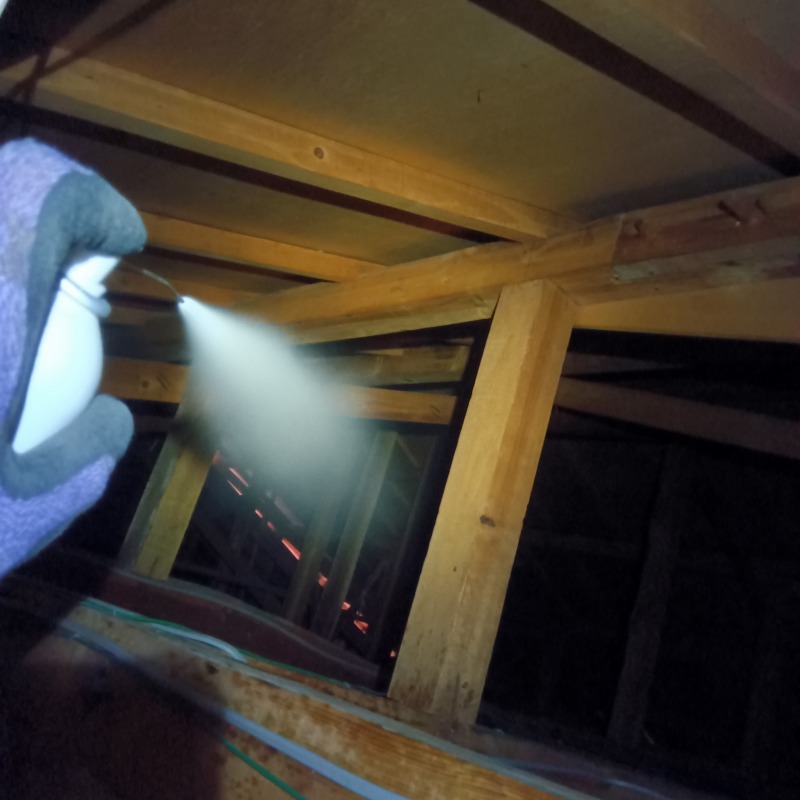 屋根裏に殺虫スプレーを散布