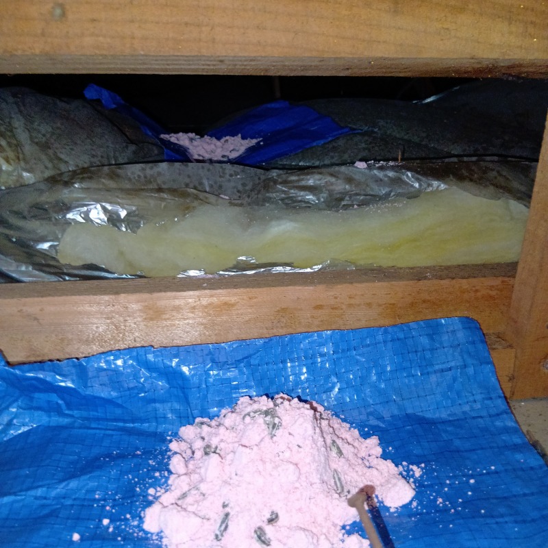 ネズミ駆除の施工事例（山形県山形市上町）