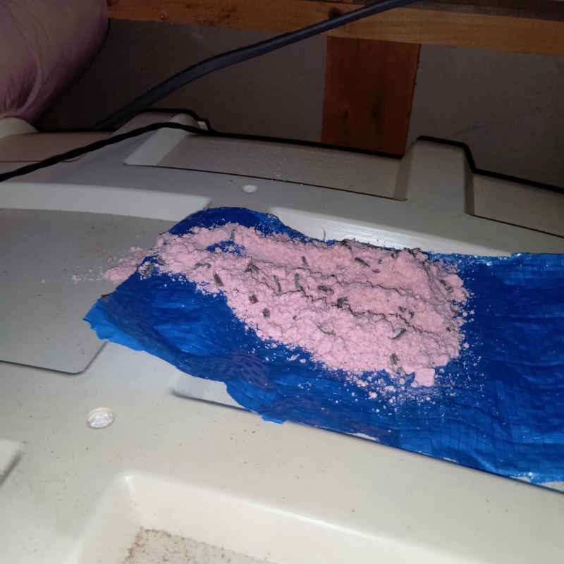 殺鼠剤を設置した様子