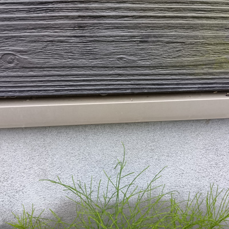 ネズミ駆除の施工事例（鹿児島県指宿市東方）