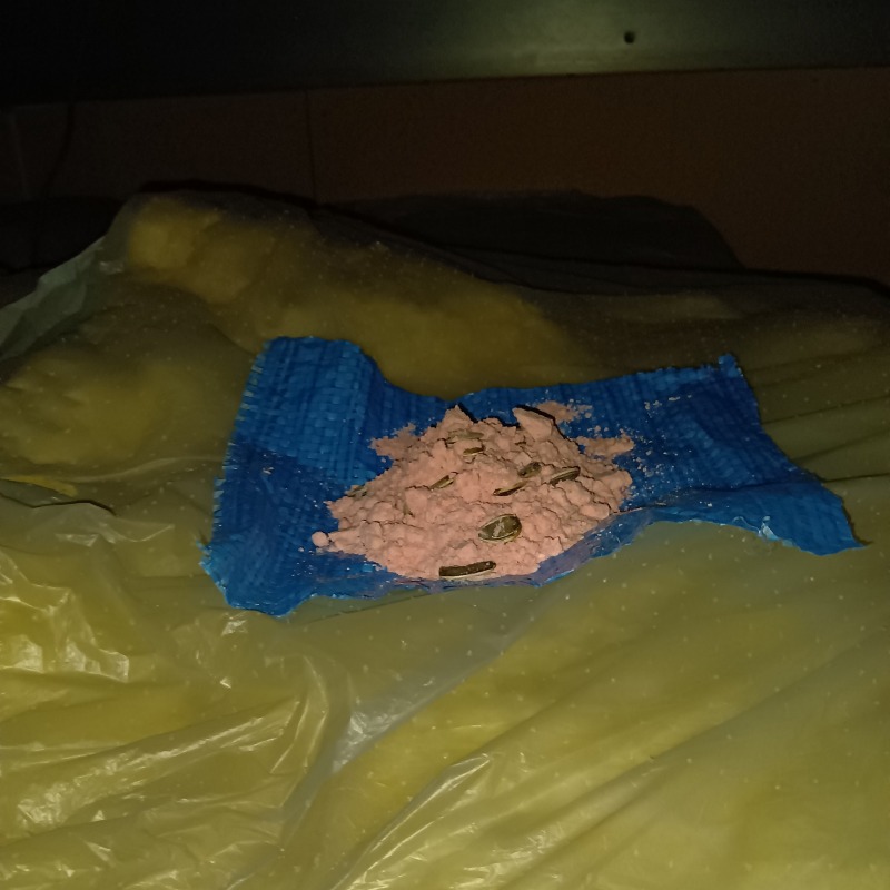 屋根裏に設置した殺鼠剤