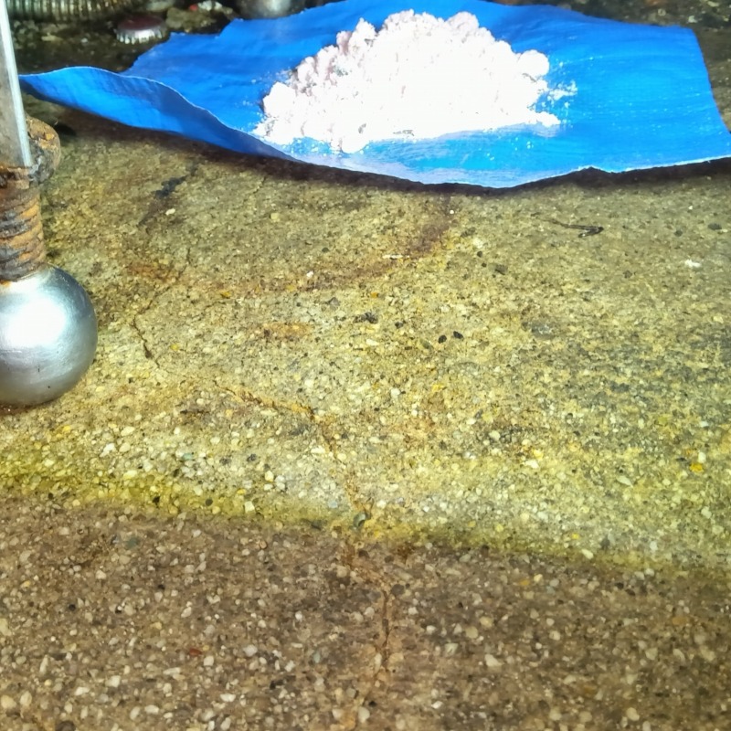 殺鼠剤を設置した様子