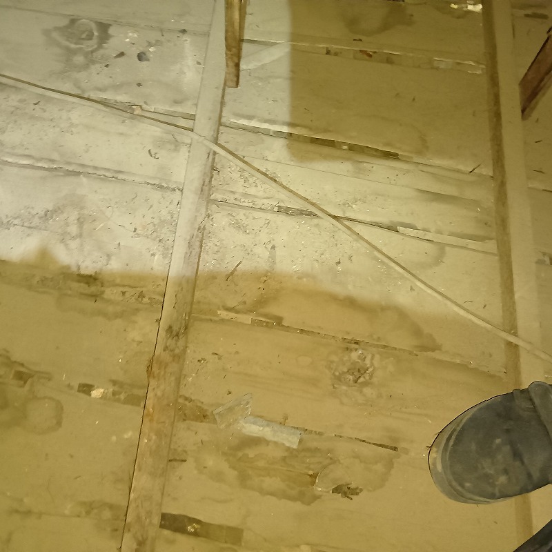 アライグマ駆除の施工事例（茨城県猿島郡境町西泉田）