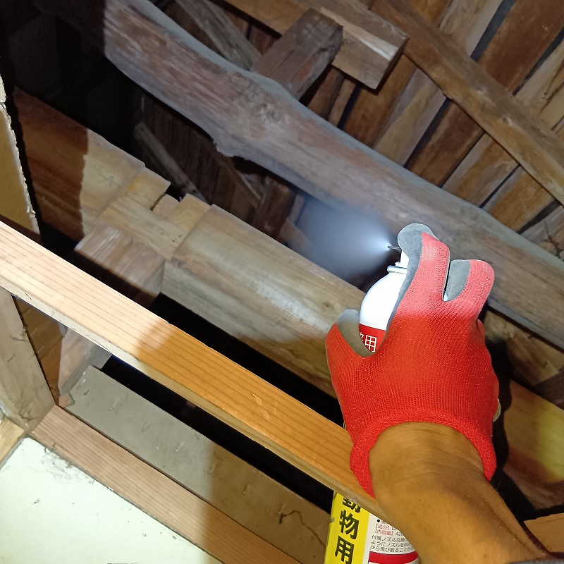 屋根裏に忌避スプレーを散布