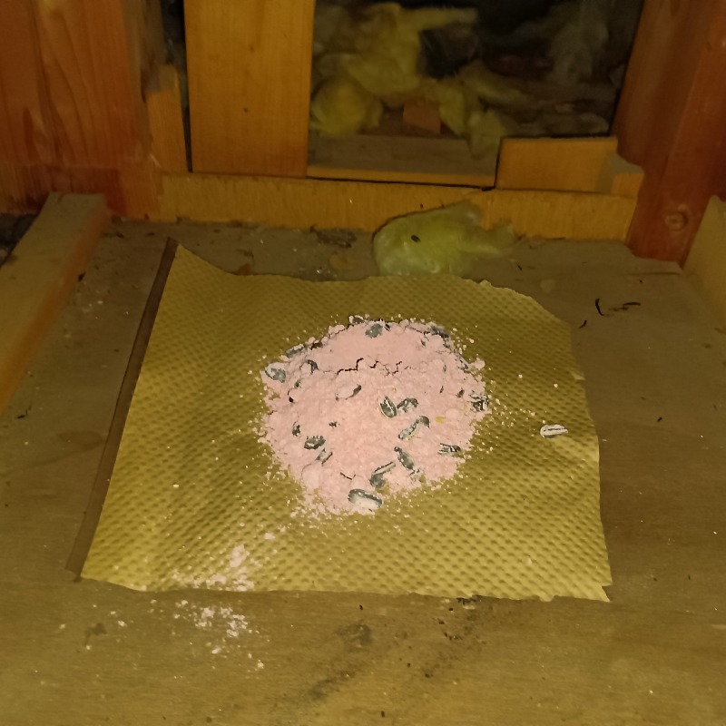 殺鼠剤を設置した様子