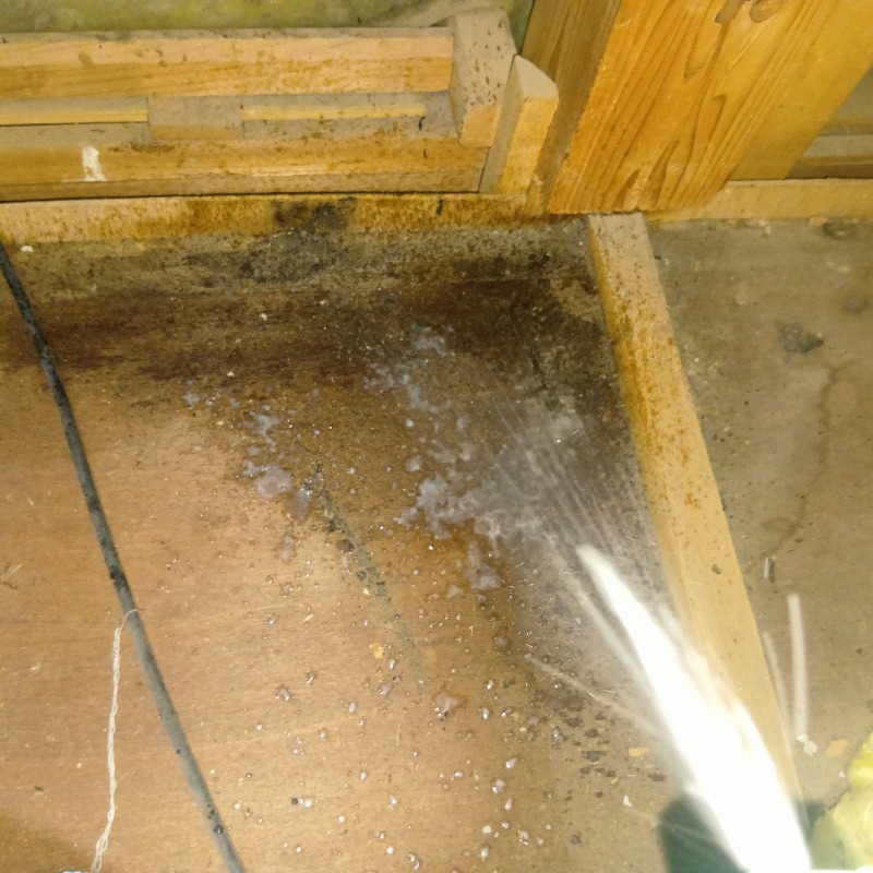 フンがあった箇所を洗浄する様子