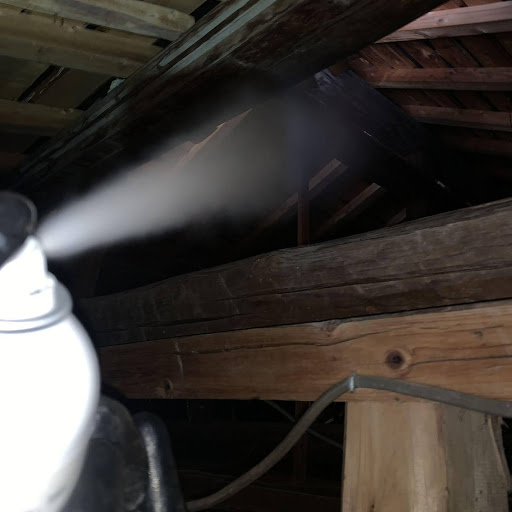 殺虫剤の薬剤散布の様子