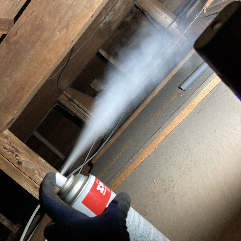 天井裏に殺虫スプレーを散布