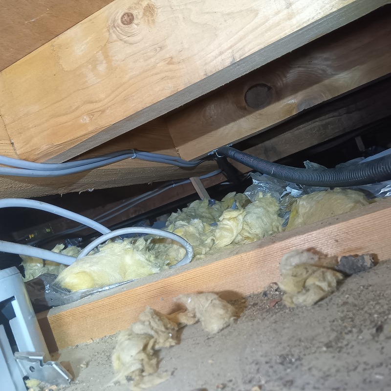 アライグマ駆除の施工事例（東京都目黒区八雲）