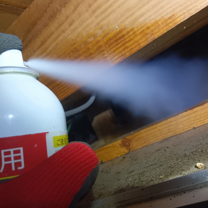 天井裏に忌避スプレーを散布