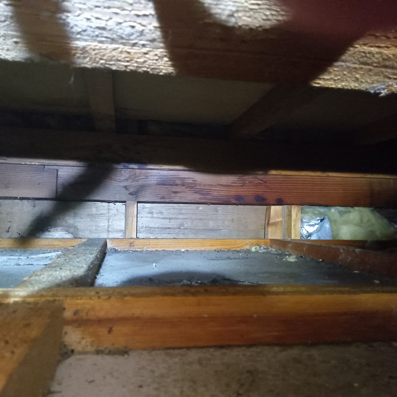 天井裏の断熱材やフンを片付けた様子