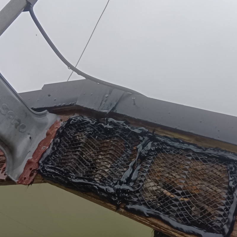 軒天のすき間をネットとパテで封鎖