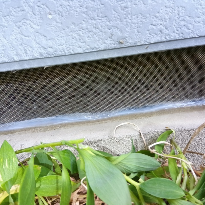 床下換気口を金網で封鎖