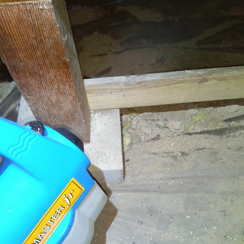 噴霧器で薬剤を散布