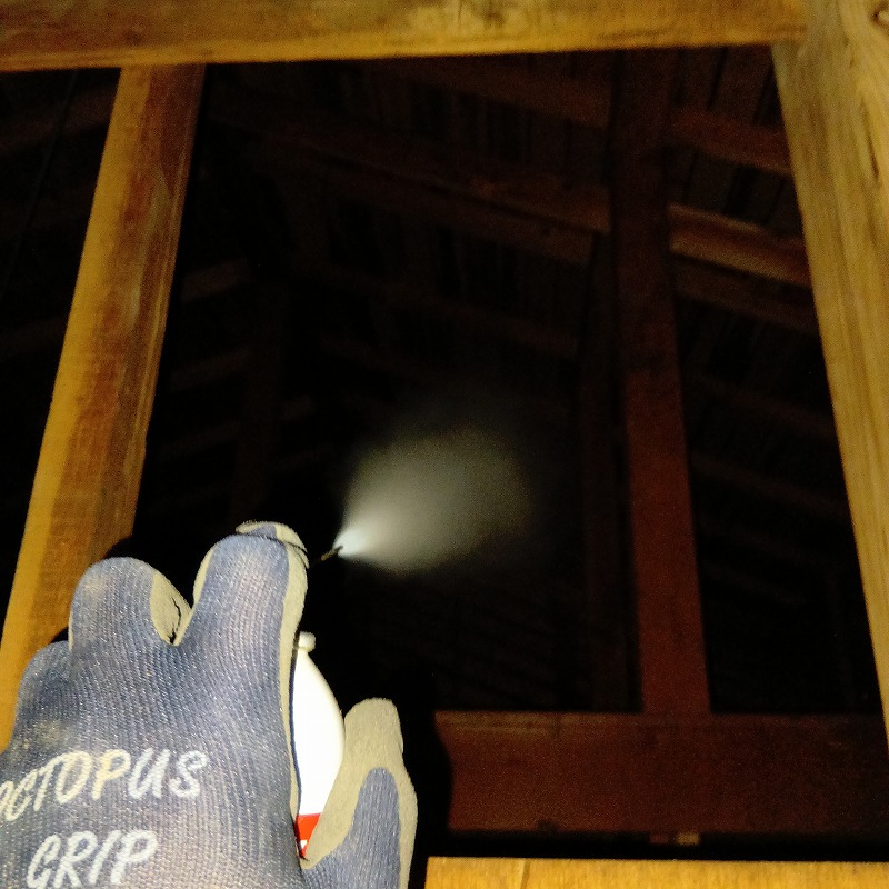 屋根裏に忌避スプレーを散布