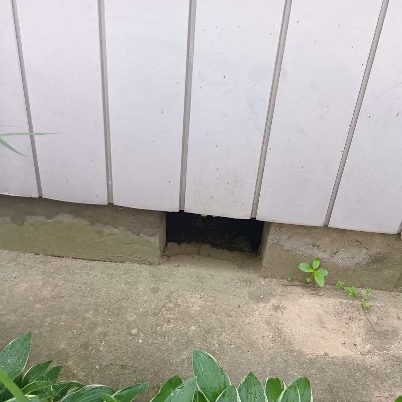 侵入口になっていた床下のすき間