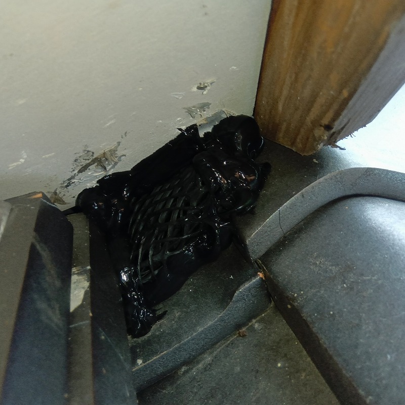 屋根のすき間にネットを詰めて封鎖