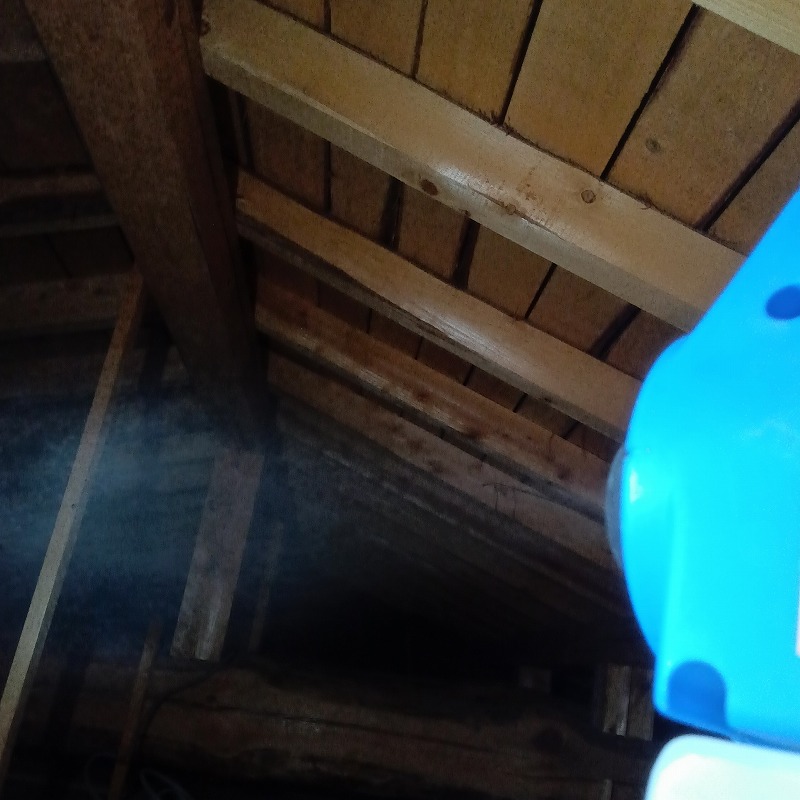 噴霧器で屋根裏に薬剤を散布