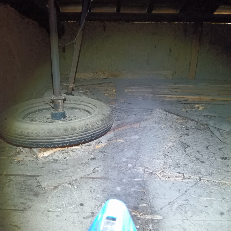 アライグマ駆除の施工事例（福岡県うきは市吉井町長栖）