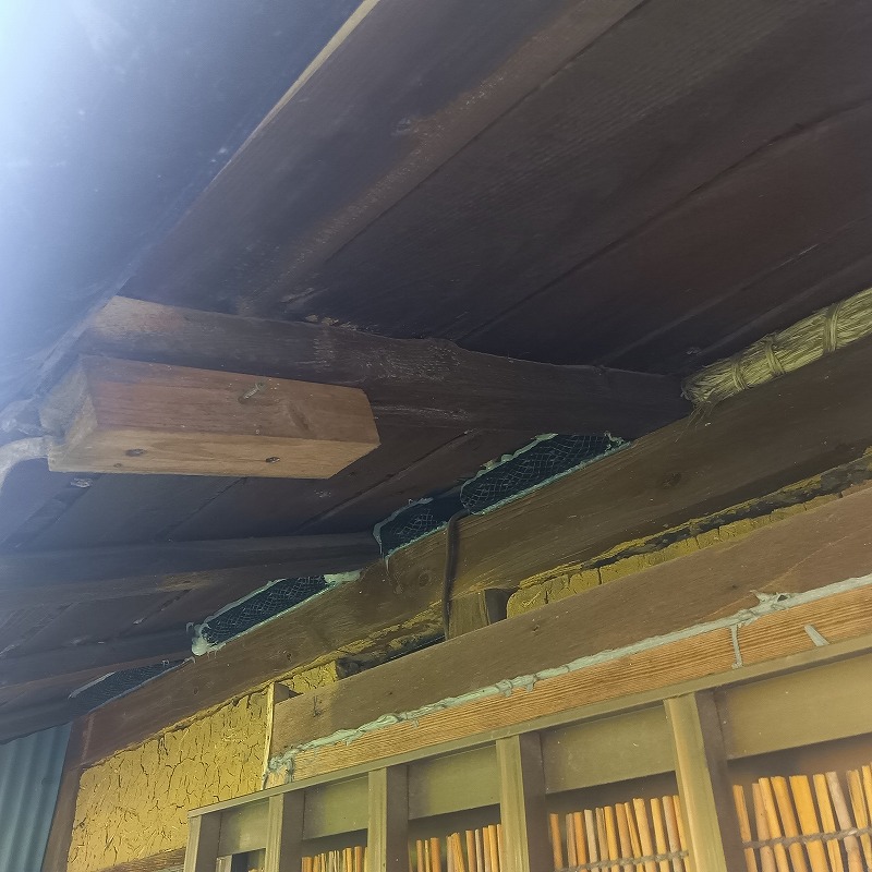 玄関上のすき間をネットとパテで封鎖