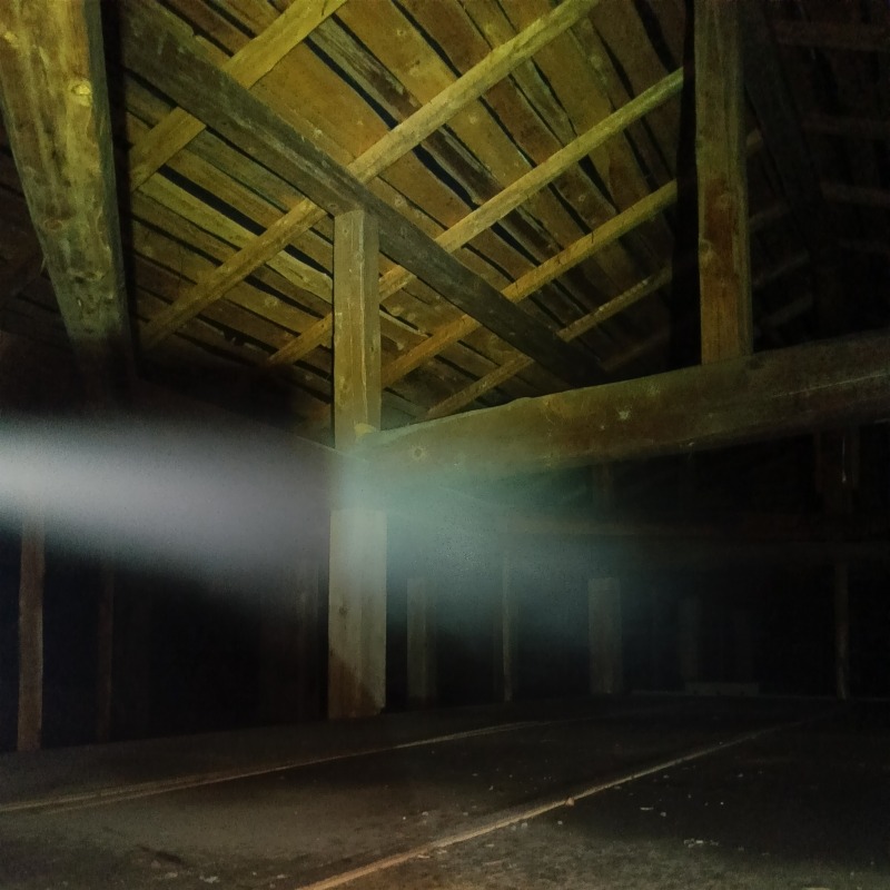 屋根裏に忌避剤を散布する様子