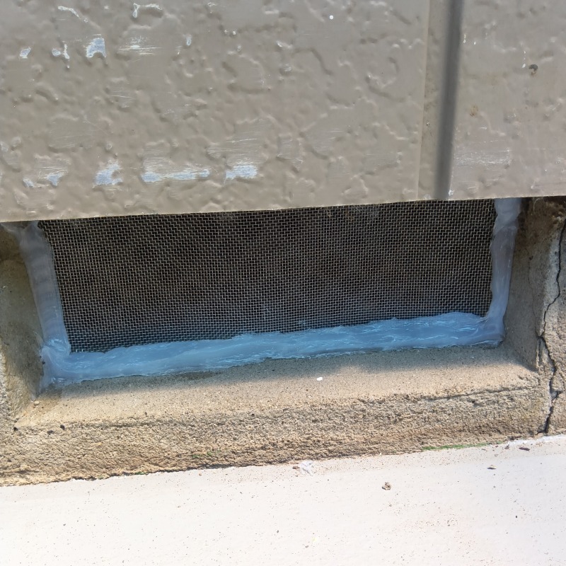 ネズミ駆除の施工事例（新潟県新潟市東区山の下町）